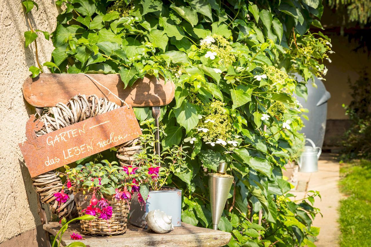 Ferienwohnung Auszeit Markdorf Ngoại thất bức ảnh